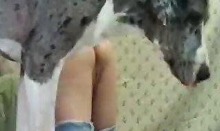 beastiality porn