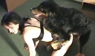 dog porn