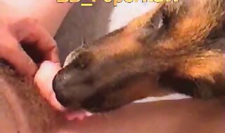 cum