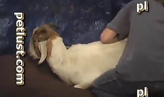 horny