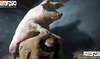 animal sex