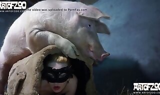 animal sex