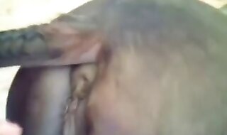 horny
