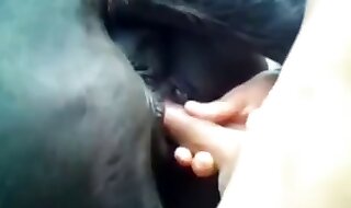 horny