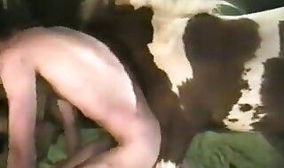 horse fucks