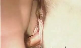 animal sex