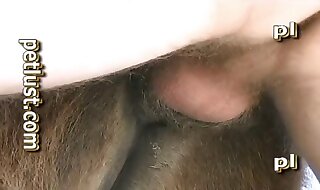 fucking dog