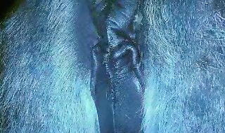 fucker