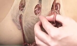 worms
