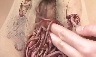worms